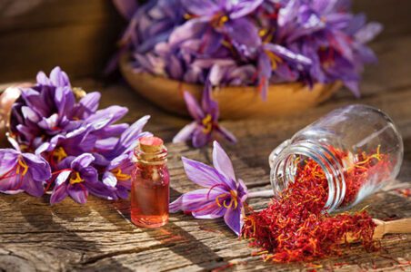 به گزارش گام اقتصادی به نقل از ایسنا، زعفران، طلای سرخ ایران، محصولی با قدمتی بیش از ۳۰۰۰ سال است که نه تنها به عنوان یکی از گرانترین ادویههای جهان شناخته میشود، بلکه سهم ایران در تولید جهانی آن حدود ۹۰ درصد است. این محصول منحصر به فرد علاوه بر ارزش غذایی و دارویی، نقشی حیاتی در اقتصاد کشاورزی و صادرات کشور دارد و جایگاه آن در بازارهای بینالمللی نماد توانمندی و کیفیت بالای محصولات ایرانی است. هر چند زعفران ایران همواره از تقاضای جهانی بالایی برخوردار بوده، اما سیاستهای ارزی، خشکسالی و مشکلات زیرساختی، مسیر صادرکنندگان را با چالش مواجه کرده و تهدیدی برای حفظ این جایگاه تاریخی به شمار میرود.