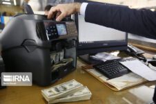 ۲۵ میلیارد دلار ارز برای واردات تامین شد