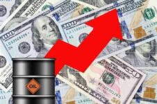 قیمت نفت