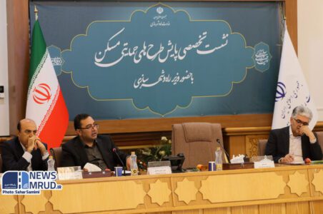 به گزارش گام اقتصادی به نقل از پایگاه خبری وزارت راه و شهرسازی، ششمین جلسه تخصصی پایش طرح‌های حمایتی مسکن به ریاست حبیب اله طاهرخانی، معاون مسکن و ساختمان وزارت راه و شهرسازی و با حضور سایر معاونان ستادی و مدیران عامل سازمان‌ها و شرکت‌های تابعه وزارت راه و شهرسازی و مدیران کل راه و شهرسازی استان‌ها برگزار شد.