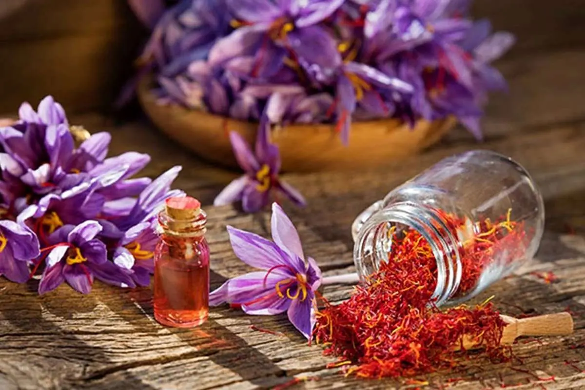 به گزارش گام اقتصادی به نقل از روابط عمومی بانک کشاورزی، با ورود بازار زعفران خراسان شمالی به بستر دیجیتال پلتفرم «پالیز» و ایجاد زنجیره‌ای هوشمند و عادلانه میان کشاورز و بازار مصرف، معضلات دیرینه ای نظیر واسطه گری دلالان حذف و گردش مالی تسهیل و تسریع شده است.