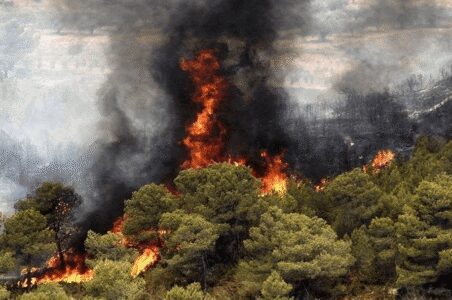 به گزارش گام اقتصادی به نقل از پایگاه اطلاع‌رسانی وزارت جهاد کشاورزی، رضا افلاطونی رئیس سازمان منابع طبیعی و آبخیزداری کشور تازه‌ترین توضیحات درباره آتش‌سوزی‌های اخیر در جنگل‌های هیرکانی ـ به‌ویژه منطقه الیت مازندران ـ و نیز جنگل‌های جلفای آذربایجان شرقی را ارائه کرد.