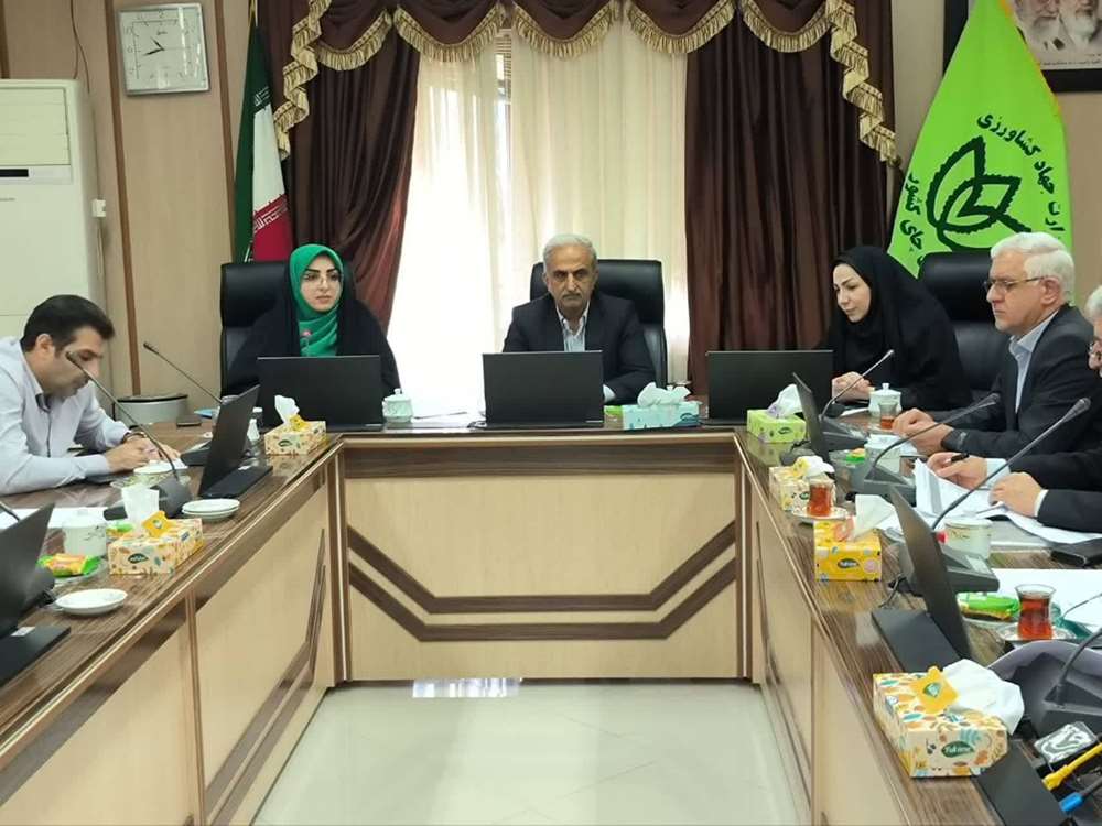 به گزارش گام اقتصادی به نقل از سازمان چای کشور، پایش و بررسی روند اجرای برنامه‌های اصلاح نظام اداری در سازمان چای کشور با حضور رئیس سازمان چای کشور و  راهبران سازمان اداری و استخدامی کشور و نماینده مرکز نوسازی و تحول اداری وزارت جهاد کشاورزی برگزار شد.