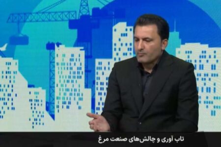 بازار مرغ آرام می‌گیرد