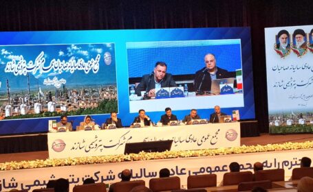 شازند با وجود اورهال و محدودیت‌های صادراتی، سود خالص خود را به ۳.۳ همت رساند